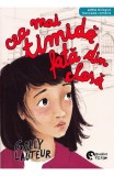 Cea mai timida fata din clasa - Gally Lauteur - Booklet