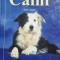 Caini. Ghid complet - Sarah Whitehead