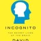 Incognito: The Secret Lives of the Brain