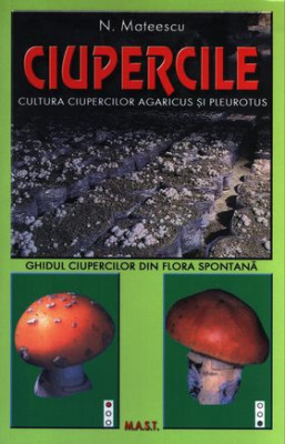 Cultura ciupercilor Agaricus și Pleurotus foto