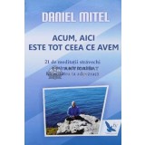 Acum, aici este tot ceea ce avem - 2014 - Daniel Mitel (R145)