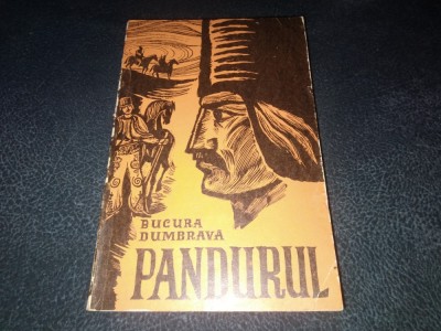 BUCURA DUMBRAVA - PANDURUL foto