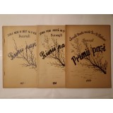 Primii pași: Școala Medie Mixtă nr. 1 Nicolae Bălcescu, București (1957; 1958; 1959) (revista școlii)