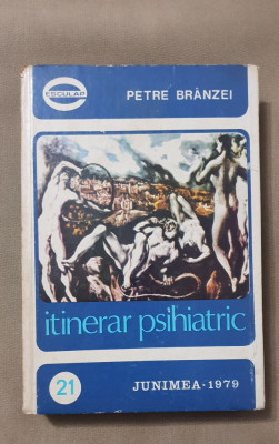 Itinerar psihiatric - Petre Br&amp;acirc;nzei foto