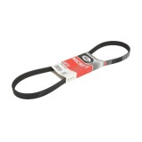 Curea Transmisie Caneluri Alfa Romeo GTV (916) 1995-2005 5PK1005