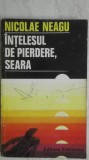 Nicolae Neagu - Intelesul de pierdere, seara