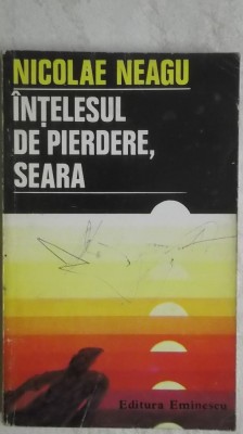 Nicolae Neagu - Intelesul de pierdere, seara foto