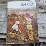 BANCILA- RUXANDRU DREPTU, 1987