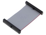 Cablu panglică SAMTEC IDC 50,8mm FFSD-22-D-02.00-01-N cu conectori IDC pe ambele părți