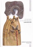Carte Album Arta Ioana Stepanov Ceramica 2023 71 pagini 21x28 cm romana brosate buna