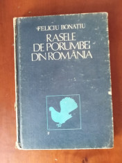 RASELE DE PORUMBEI DIN ROMANIA de FELICIU BONATIU foto