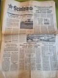 Scanteia 24 martie 1981-combinatul ramnicu valcea,nou spital la braila,buzau