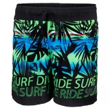 Cygnus Sort de baie tineri