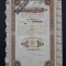 Actiune petrol soc. FORAJUL , titlu , actiuni