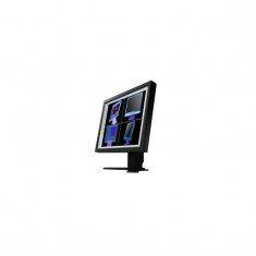 Monitoare second hand Eizo FlexScan L985EX foto