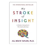 My Stroke of Insight