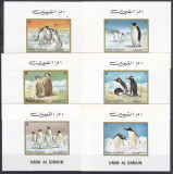 DB1 Fauna Polara Umm Al Qiwain Pinguini 6 x SS de lux MNH, Nestampilat