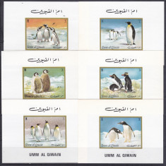 DB1 Fauna Polara Umm Al Qiwain Pinguini 6 x SS de lux MNH