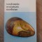 TENDINTELE SCULPTURII MODERNE-WALTER ZANINI-232130