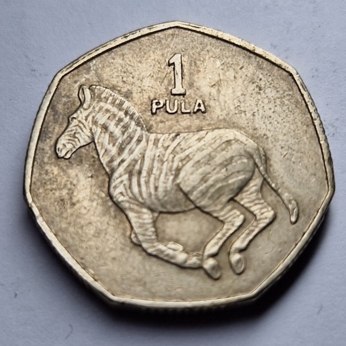 1 Pula 1991 - Botswana
