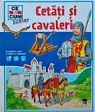 Cumpara ieftin Cetati si cavaleri. Cu ghicitori, jocuri si clapete cu raspunsuri - 2008 (XE237)