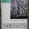 SARMIZEGETUSA DE ACAD. C. DAICOVICIU , H. DAICOVICIU