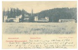 4700 - MARAMURES, Sighet, Litho, Romania - old postcard - unused