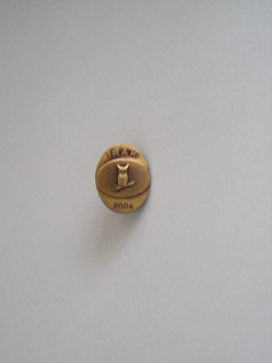 QW9 N 16 - insigna - militar - misune Irak 2004 - bufnita pe spada foto