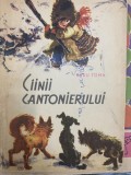 Cainii Cantonierului, Radu Toma, Coca Cretoiu, 1964, Ilustratii, Carte Copii, Povesti