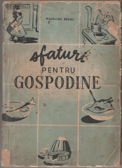 Madalina Brebu - Sfaturi pentru gospodine