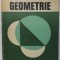 GEOMETRIE de EDWIN E. MOISE , FLOYD L. DOWNS JR , 1983