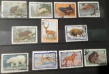 URSS-Lot 11 timbre tematice &bdquo;Fauna / Protecția Animalelor&rdquo; &ndash; URSS (Poșta CCCP) &ndash; 1957&ndash;1961