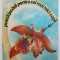 POEZII - JUCARII PENTRU CEI MAI MICI COPII de DANIELA CRASNARU , ilustratii de ANAMARIA SMIGHELSCHI , 1985 , 1985