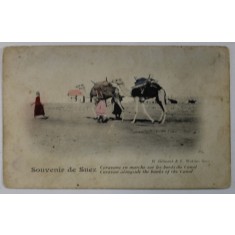 SOUVENIR DE SUEZ , CARAVANE DE CAMILE PE MALURILE CANALULUI , CARTE POSTALA , INCEPUTUL SEC. XX