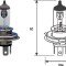 MAGNETI MARELLI 002555100000 Bec, far faza lunga