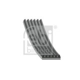 Febi Bilstein Curea transmisie cu caneluri