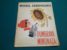 DUMBRAVA MINUNATA / MIHAIL SADOVEANU/ILUSTRA?II NOEL RONI/ 1962 foto