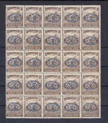 ROMANIA 1919 - DEBRETIN I SECERATORI 20 FILLER FRAGMENT DE 25 MARCI MNH foto