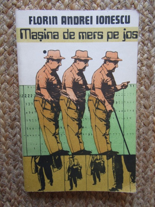 FLORIN ANDREI IONESCU - MASINA DE MERS PE JOS
