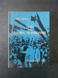 Cumpara ieftin VASILE NETEA - O ZI DIN ISTORIA TRANSILVANIEI, 1 DECEMBRIE 1918