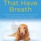 ALL That Have Breath: A Biblical Study of Animals in Scripture and Their Valued Place in God&#039;s Creation
