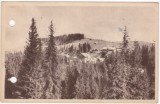 AMS - ILUSTRATA 1282, PALTINIS - VEDERE, ANUL 1955, cu perforari