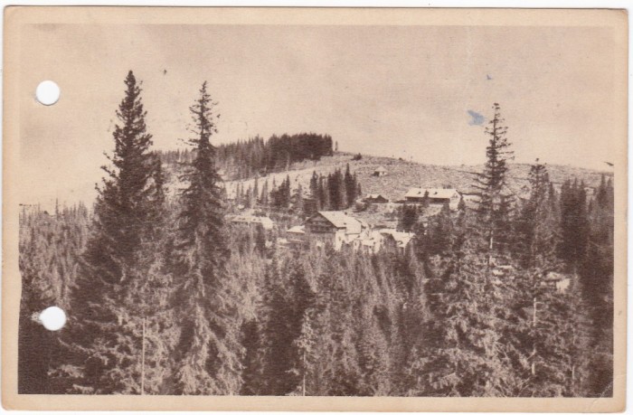 AMS - ILUSTRATA 1282, PALTINIS - VEDERE, ANUL 1955, cu perforari