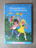 Carte - Sommerfest in der Waldschule - Kathe Theuermeister (limba germana)