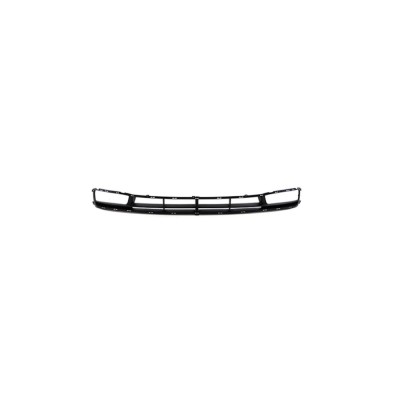 Grila bara fata Hyundai Accent (Mc), 09.2006-01.2010, 400927-1 cu locas pentru proiectoare foto