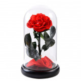 Trandafir Criogenat rosu mare &Oslash;9,5cm in cupola sticla 12x25cm
