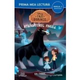 Trei dorinte. Atragatorul Angus. Miniroman. Nivelul 3/Kiki Thorpe