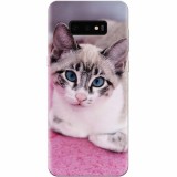 Husa silicon pentru Samsung Galaxy S10 Lite, Siamese Kitty