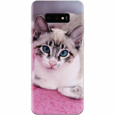 Husa silicon pentru Samsung Galaxy S10 Lite, Siamese Kitty foto