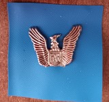 QW9 L 39 - Insigna - tematica aviatie - simbol Fortele Aeriene Romane - FAR, Romania de la 1950